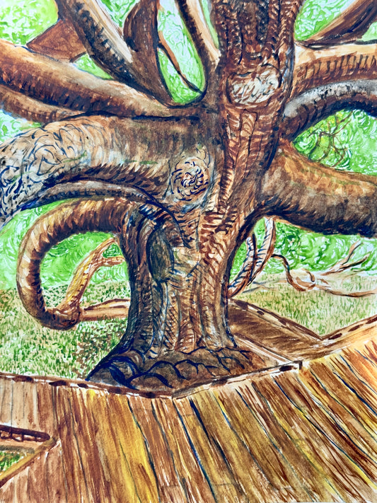 Watercolor - Treaty Oak