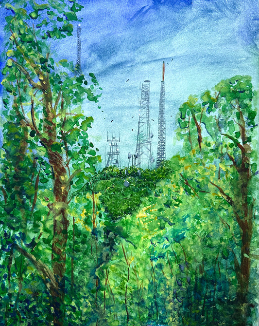 Watercolor - Cell towers with buzzards